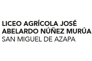 https://wuaynamarka.lakitasdearica.cl/wp-content/uploads/2018/08/logo_liceo_300x200-300x200.png
